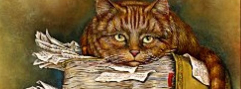 lesateliersdupossible1@gmail.com